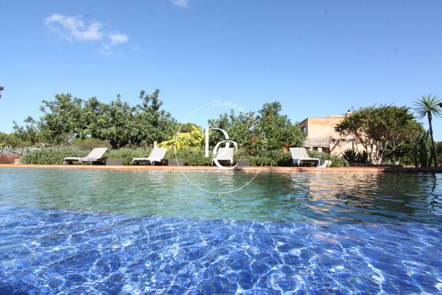 Villa amb vinya en venda a Formentera