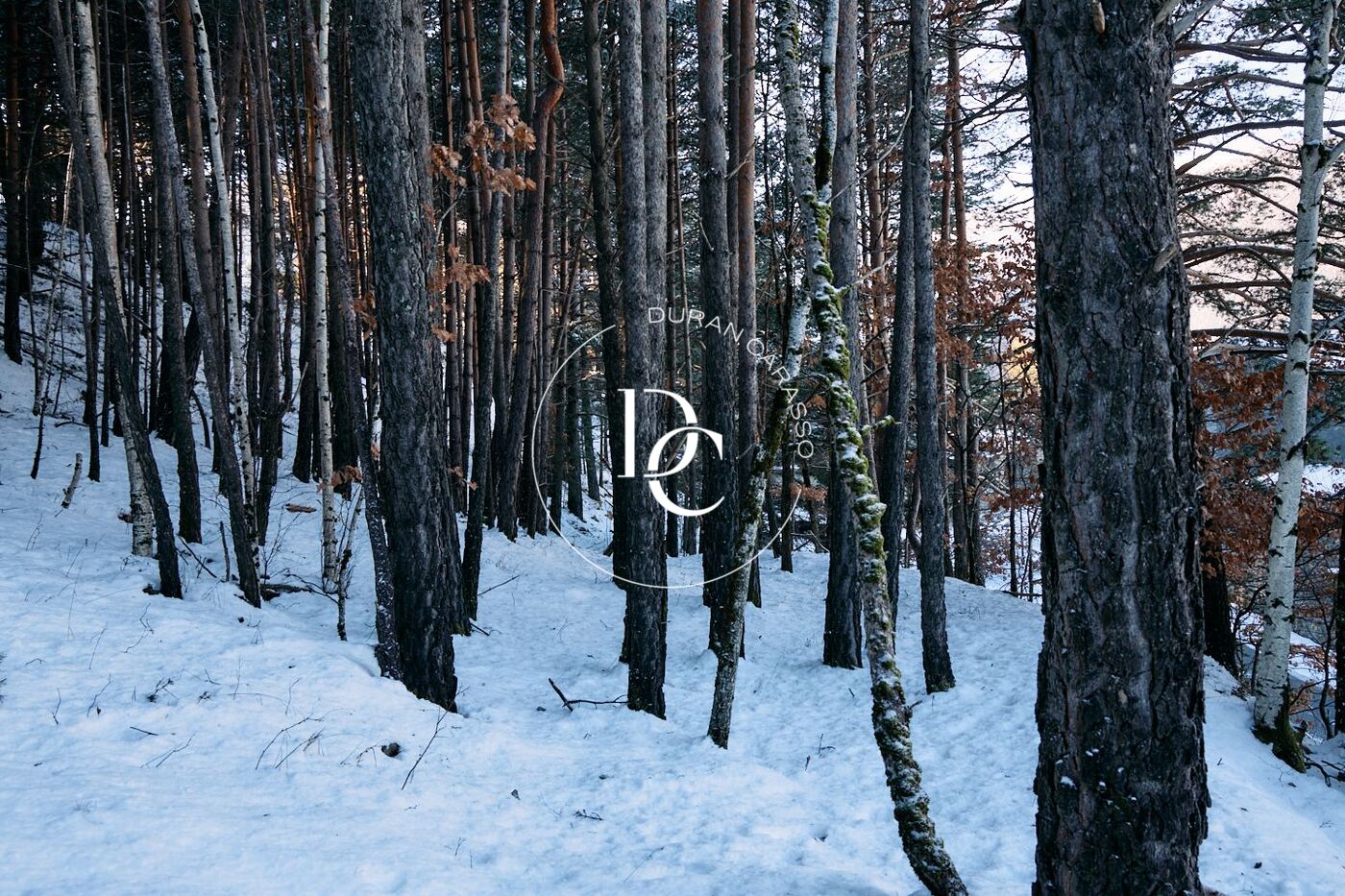 Terreny en venda a Anyós