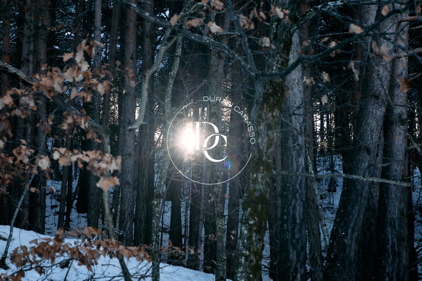 Terreny en venda a Anyós