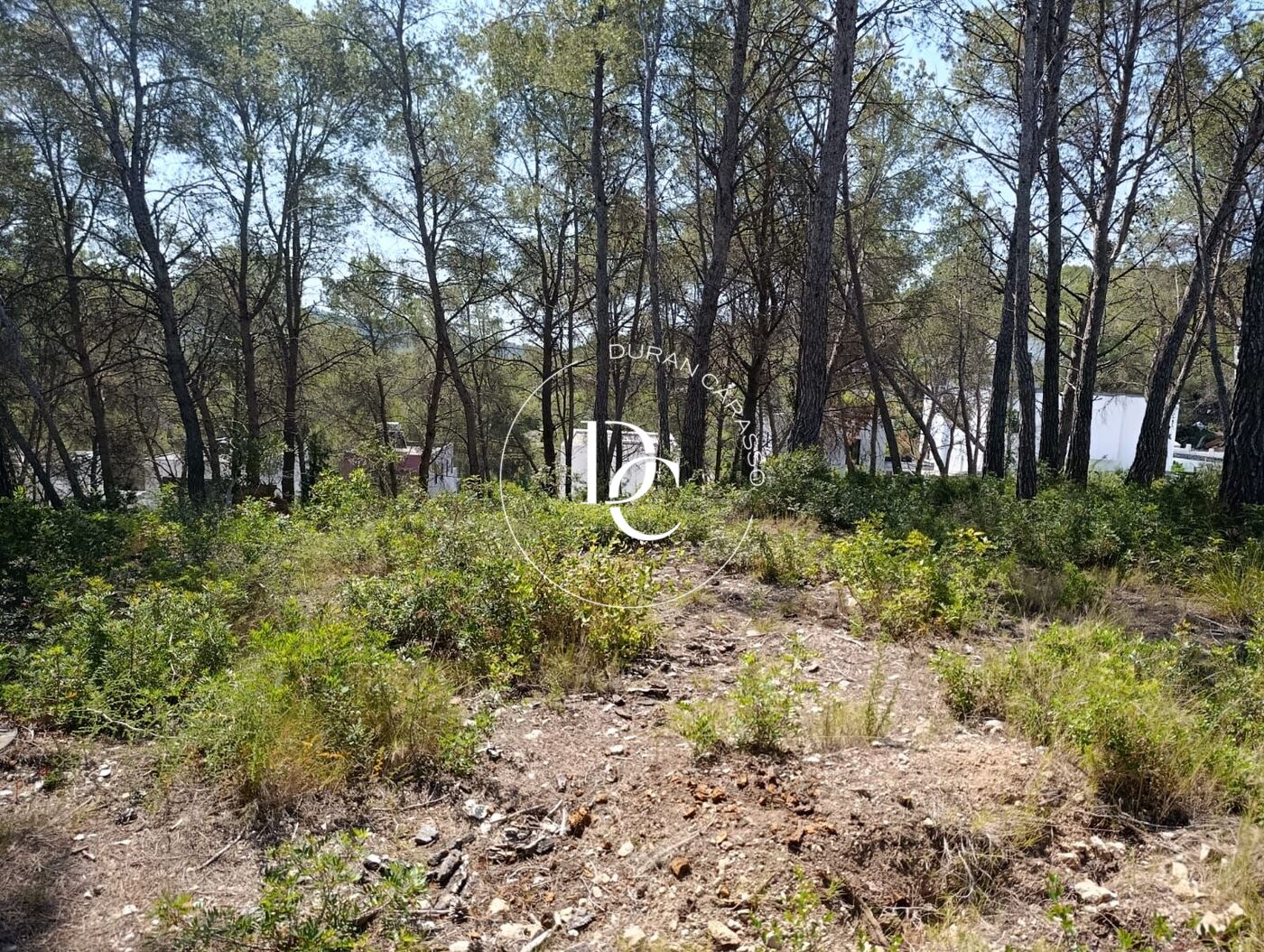 Gran parcela en venta para vivienda unifamiliar en Mas Alba